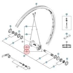Ecrou De Rayon Shimano Y4CK89000 - (X1)