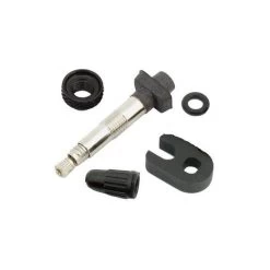 Campagnolo® Valve De Remplacement Pour Roue Tubeless 2 Way-Fit